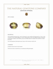 8.01 Ct. Bi Color Ametrine from Ceylon (Sri Lanka) Appraisal