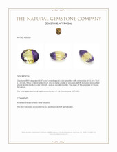 8.47 Ct. Ametrine from Ceylon (Sri Lanka) Appraisal