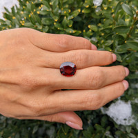 5.38 Ct. Spinel from Ceylon (Sri Lanka) Life Style