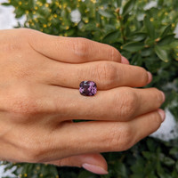2.56 Ct. Spinel from Ceylon (Sri Lanka) Life Style