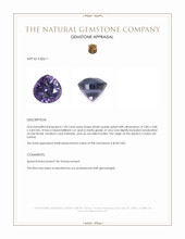 1.04 Ct. Bluish Purple Spinel from Ceylon (Sri Lanka) Appraisal