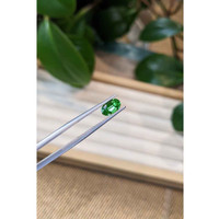 1.12 Ct. Tsavorite Garnet from Tanzania Life Style