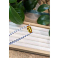 2.69 Ct. Precious Topaz from Brazil Life Style