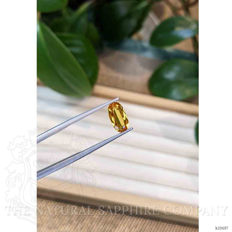 2.69 Ct. Precious Topaz from Brazil
