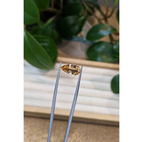 3.74 Ct. Precious Topaz from Brazil Life Style