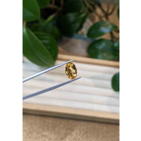 3.26 Ct. Precious Topaz from Brazil Life Style