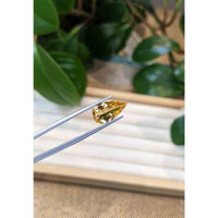 4.05 Ct. Precious Topaz from Brazil Life Style