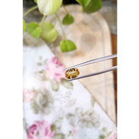 2.37 Ct. Precious Topaz from Brazil Life Style