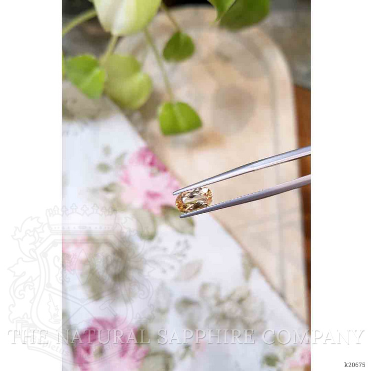 1.49 Ct. Precious Topaz from Brazil