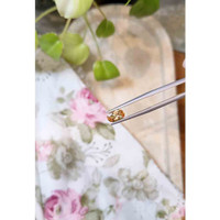 1.28 Ct. Precious Topaz from Brazil Life Style