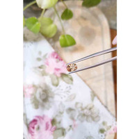 1.20 Ct. Precious Topaz from Brazil Life Style