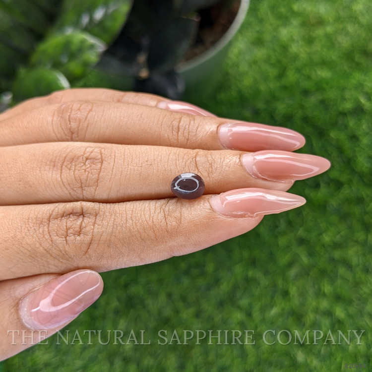 1.43 Ct. Cabochon Chrysoberyl from Ceylon (Sri Lanka)