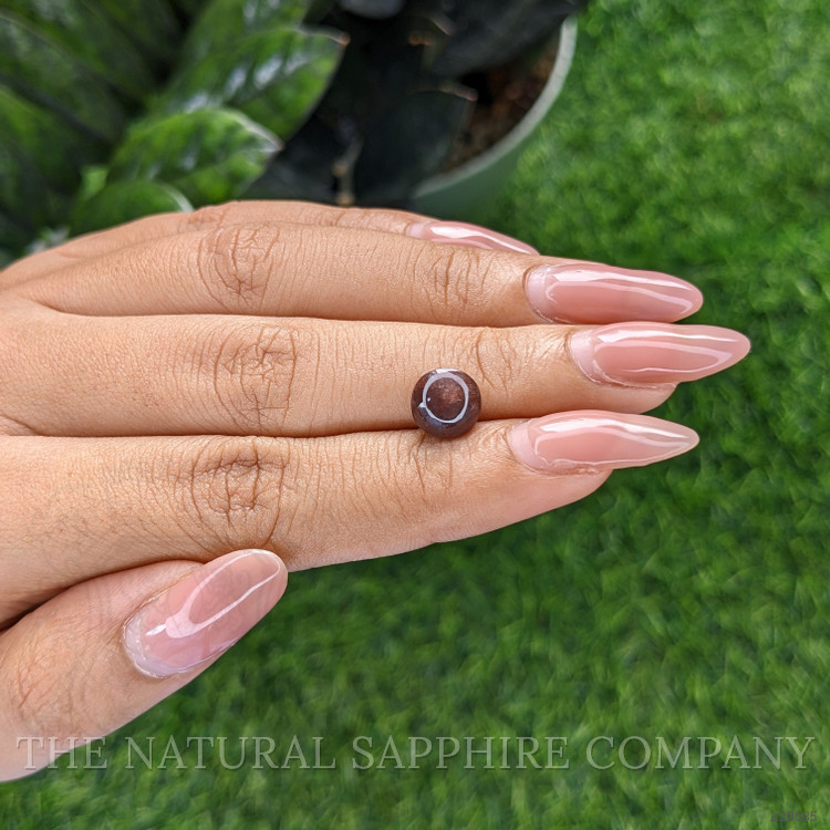 2.14 Ct. Cabochon Chrysoberyl from Ceylon (Sri Lanka)