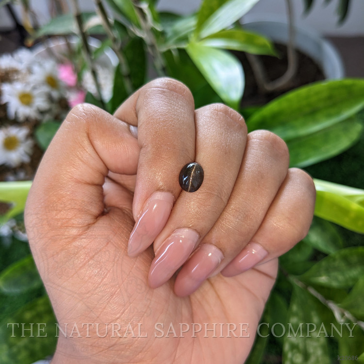 1.77 Ct. Cabochon Chrysoberyl from Ceylon (Sri Lanka)