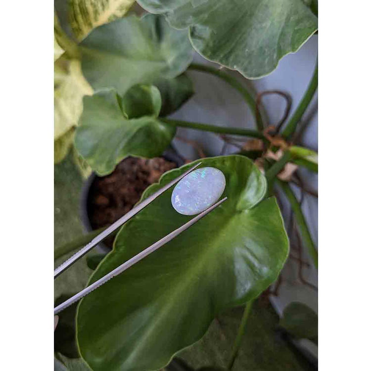 10.50 Ct. Cabochon White Opal from Australia