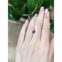 0.90 Ct. Garnet from Ceylon (Sri Lanka) Life Style