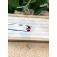 0.90 Ct. Garnet from Ceylon (Sri Lanka) Life Style