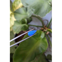 2.03 Ct. Cabochon Boulder Opal from Australia Life Style