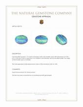 Jewelry Appraisal