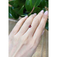 0.67 Ct. Garnet from Ceylon (Sri Lanka) Life Style