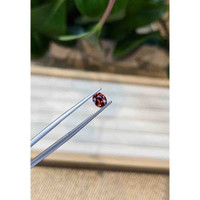 0.67 Ct. Garnet from Ceylon (Sri Lanka) Life Style