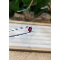 1.03 Ct. Garnet from Ceylon (Sri Lanka) Life Style