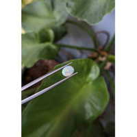1.02 Ct. Cabochon Boulder Opal from Australia Life Style