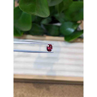 0.95 Ct. Garnet from Ceylon (Sri Lanka) Life Style