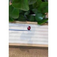 0.95 Ct. Garnet from Ceylon (Sri Lanka) Life Style