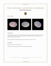 3.69 Ct. Cabochon Black Opal from Australia Appraisal