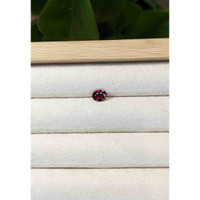 0.79 Ct. Garnet from Ceylon (Sri Lanka) Life Style