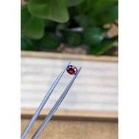 0.79 Ct. Garnet from Ceylon (Sri Lanka) Life Style