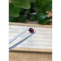 0.96 Ct. Garnet from Ceylon (Sri Lanka) Life Style