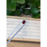 1.01 Ct. Garnet from Ceylon (Sri Lanka) Life Style