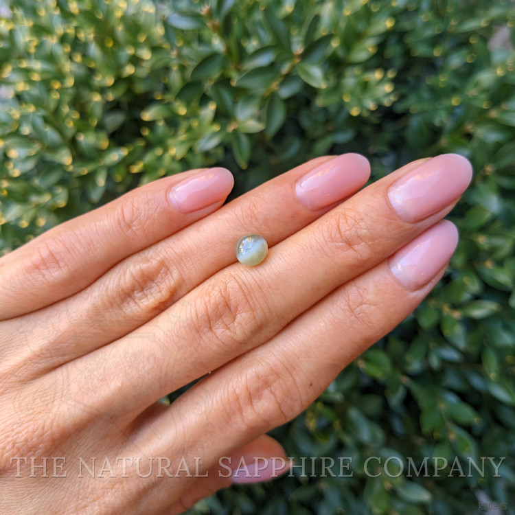 1.72 Ct. Cabochon Chrysoberyl from Ceylon (Sri Lanka)