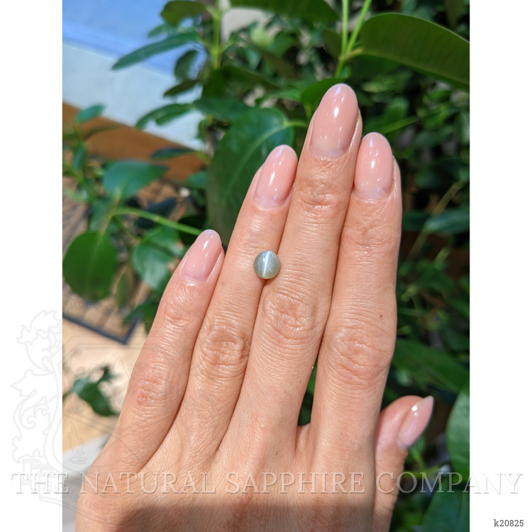 1.72 Ct. Cabochon Chrysoberyl from Ceylon (Sri Lanka)