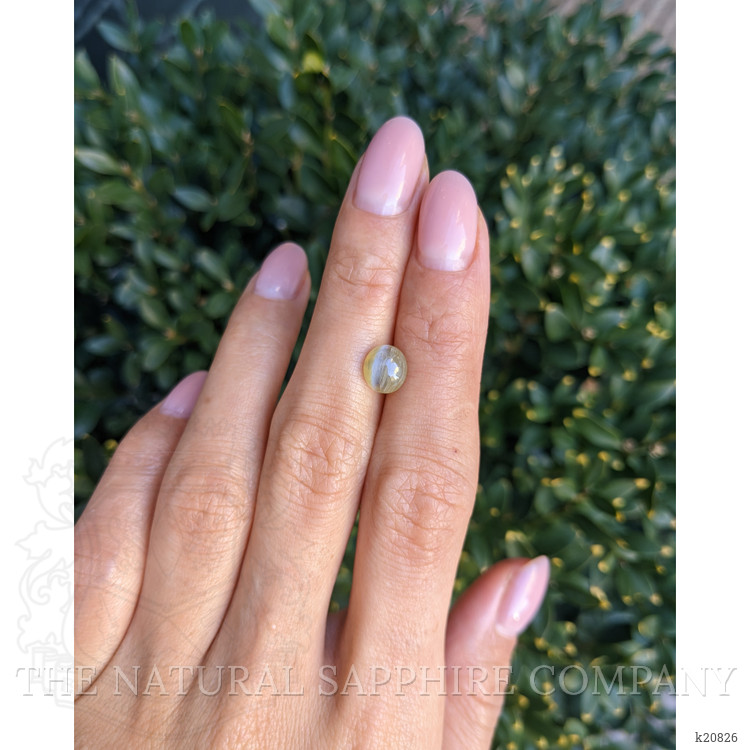 1.66 Ct. Cabochon Chrysoberyl from Ceylon (Sri Lanka)