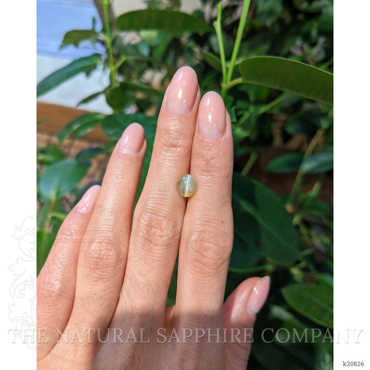 1.66 Ct. Cabochon Chrysoberyl from Ceylon (Sri Lanka)