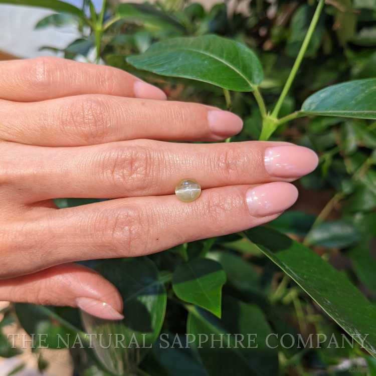 1.66 Ct. Cabochon Chrysoberyl from Ceylon (Sri Lanka)