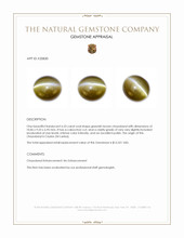 6.53 Ct. Greenish Brown Chrysoberyl from Ceylon (Sri Lanka) Appraisal