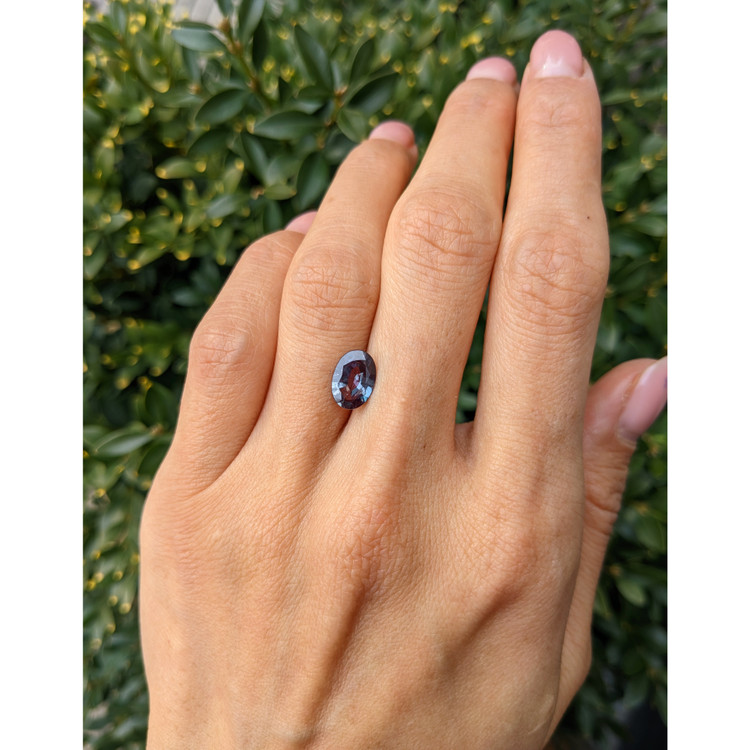1.66 Ct. Alexandrite from Brazil