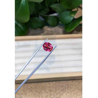 3.66 Ct. Tourmaline from Brazil Life Style