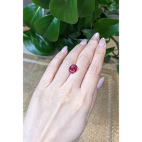 3.66 Ct. Tourmaline from Brazil Life Style