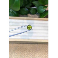 2.40 Ct. Tourmaline from Brazil Life Style