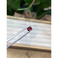 0.88 Ct. Garnet from Ceylon (Sri Lanka) Life Style
