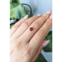 1.53 Ct. Cabochon Spessartite Garnet from Nigeria Life Style