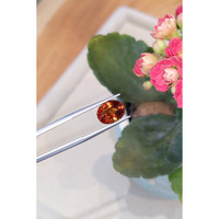 5.16 Ct. Hessonite Garnet from Ceylon (Sri Lanka) Life Style