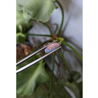 2.43 Ct. Cabochon Semi-Black Opal from Australia Life Style