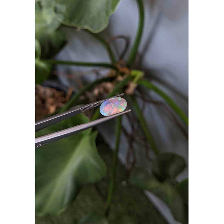 1.75 Ct. Cabochon Crystal/Jelly Opal from Australia