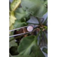 2.39 Ct. White Opal from Australia Life Style